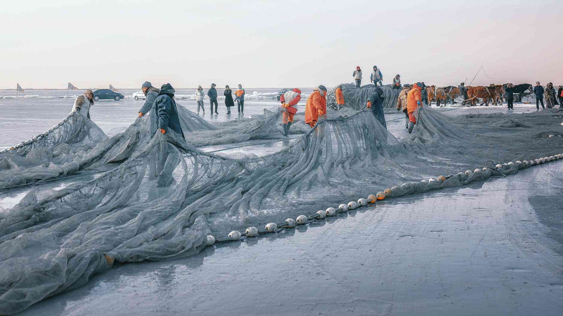 查干湖冬捕时间什么时候开始?查干湖冬捕一日游交通攻略
