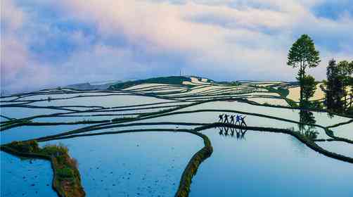 云南元阳旅游,元阳梯田哈尼梯田游玩攻略