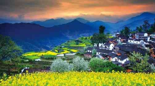 国内赏油菜花胜地推荐,除了江西婺源油菜花你还看过哪些?