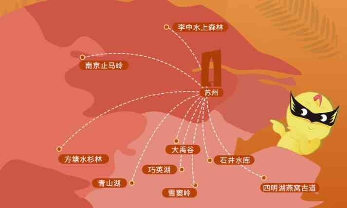 华东水杉林哪里好看?江浙五大水杉林推荐给你