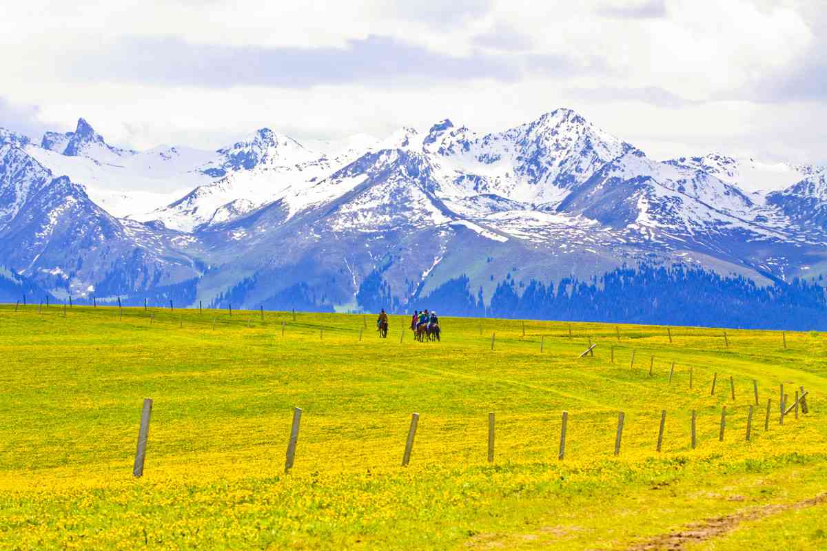 喀拉峻和那拉提哪个好？喀拉峻最佳旅行时间