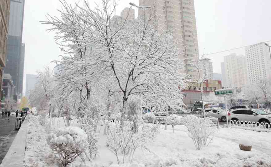南方已入夏,东北沈阳却突降暴雪