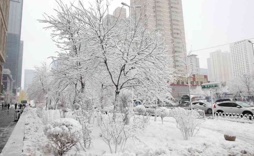 南方已入夏，东北沈阳却突降暴雪