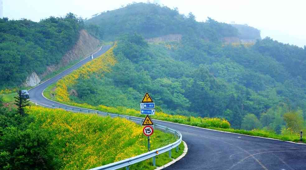 菩提岭古道在哪里？最美风车古道菩提岭古道值得一游