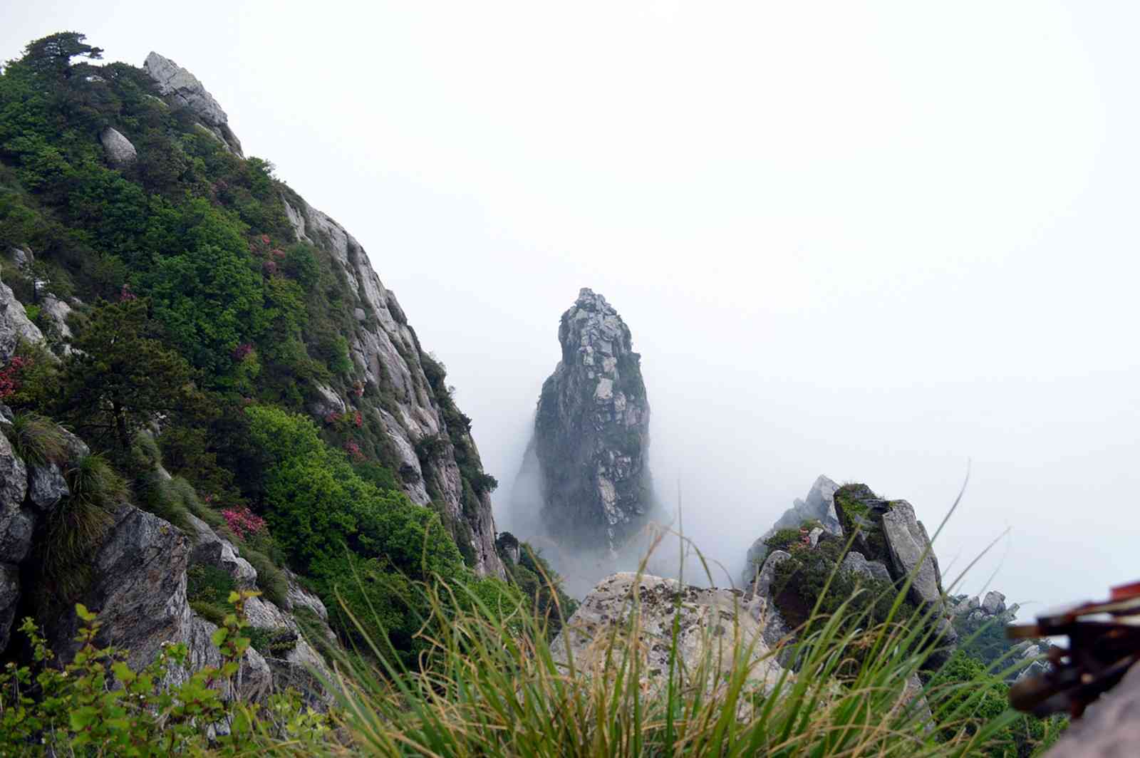 来庐山玩什么？庐山景点推荐带你揭开庐山的真面目