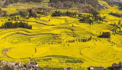春节去哪旅游好?推荐春节云南旅游