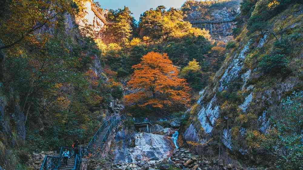 大明山好玩吗?大明山游玩攻略
