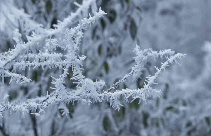 莽山景区景点有哪些?莽山冬季有雪有雾凇吗?