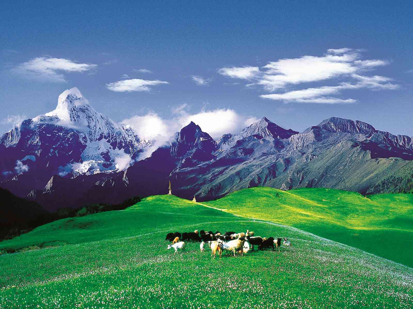 别约我，五一拼假都要去四川这些地方旅游！