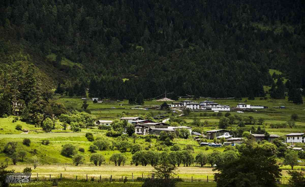 西藏鲁朗旅游几月最合适?鲁朗林海值得去吗?