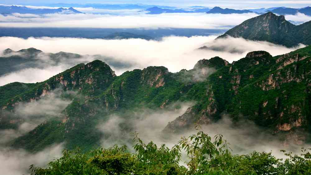 2018北京云蒙山杜鹃什么时候开,怎么去?
