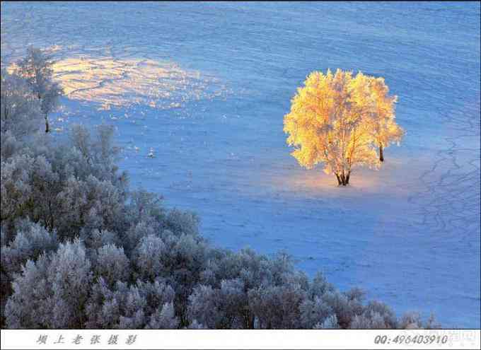 冬天，我们去坝上看雪