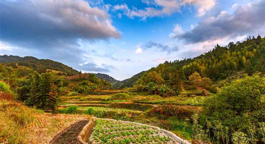 福建最原始的土楼，南靖河坑