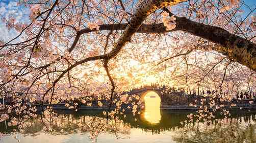 太湖一日游，太湖鼋头渚旅游攻略