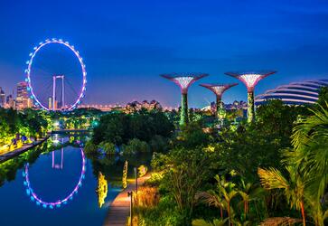 任何人都可以帮助申请者在新加坡申请签证吗？