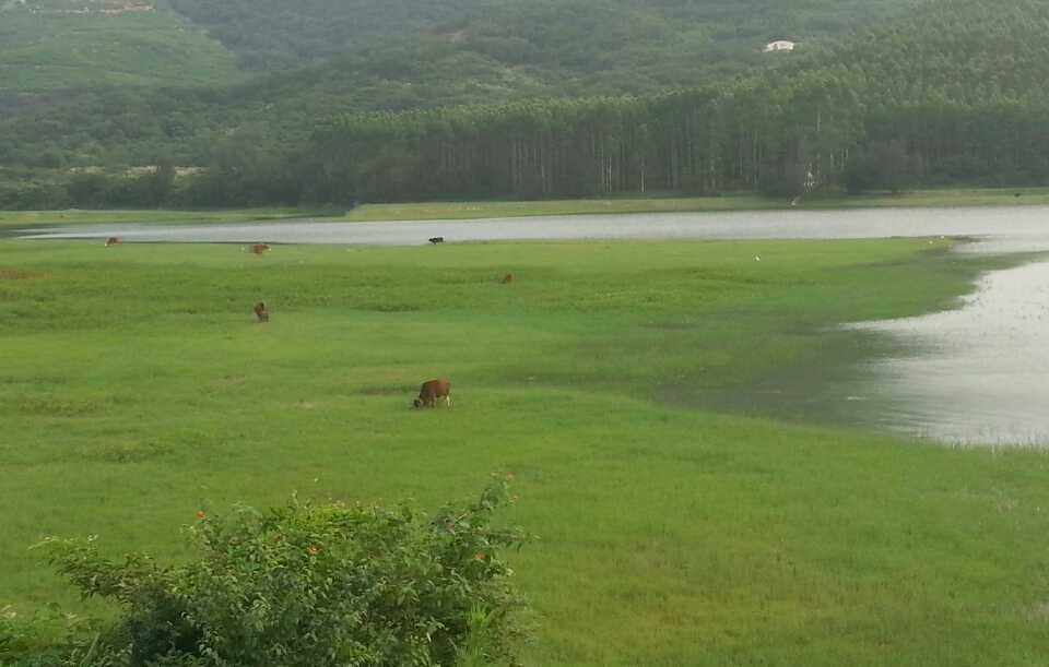 曾溪水库