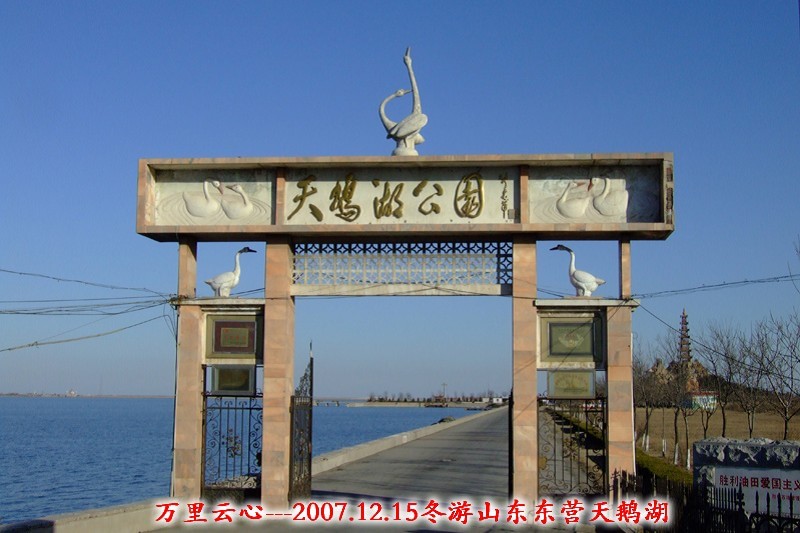 天鹅湖公园