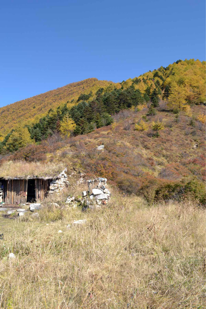 放羊寺