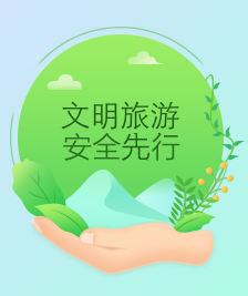 自助游