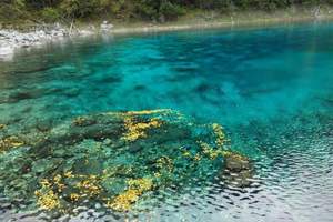 7月中旬成都九寨沟 黄龙 九曲黄河第一湾 花湖大草原4日价格