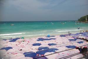 沈阳到泰国旅游<曼谷+芭提雅双飞6日>