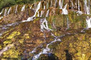 【新疆到成都旅游】新疆到成都九寨黄龙峨嵋乐山双飞纯玩8日游