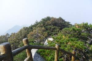 湖北特色旅游、嘉鱼山湖温泉养生泡汤/采摘/吃蟹散客两日游