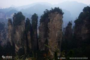 张家界、天子山、凤凰古城快乐出行五日游|洛阳到张家界旅游