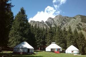 武汉出发前往新疆天山天池南山牧场两日游/新疆二日自然风光旅游