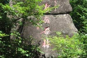 伊春汤旺河石林一日游