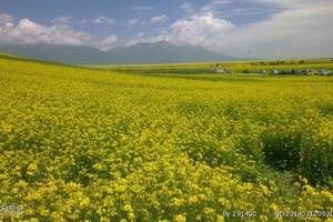 敦煌、嘉峪关、张掖、祁连, 黑马河 ,青海湖、西宁拼车六日游