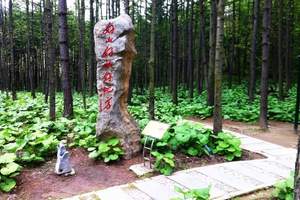 洛阳到白云山特价两日游 嵩县白云山旅游 每周二四六发团