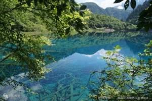 近期北京到四川旅游价钱成都 九寨 黄龙 乐山 峨眉四飞七日游