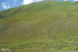 北京到银川旅游注意事项:巴丹吉林沙漠卧飞4日游