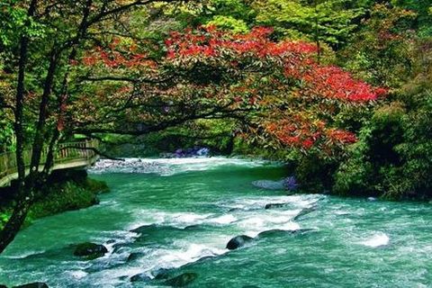 [国庆]<黑山谷1日游>黑山谷养生游