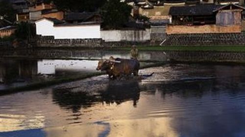 <腾冲1日游>热海和顺，经典腾冲（当地游）