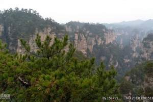 新疆到长沙张家界单飞单卧8日游_新疆去韶山凤凰古城旅游攻略