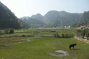 武汉暑假到黄山千岛湖动车四日品质旅游